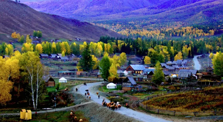 Las impresiones de un extranjero en Xinjiang: una frontera humanista y una vida colorida